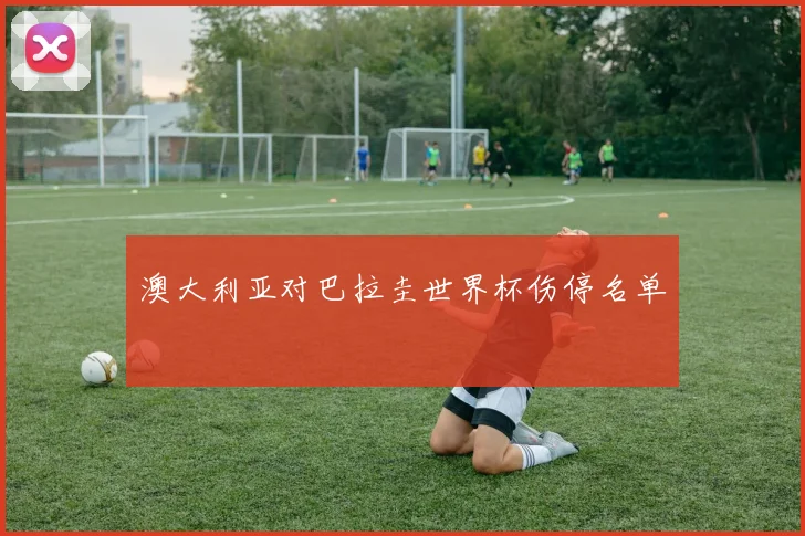 澳大利亚对巴拉圭世界杯伤停名单
