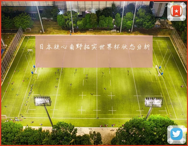 日本核心南野拓实世界杯状态分析