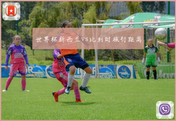 世界杯新西兰vs比利时旅行距离