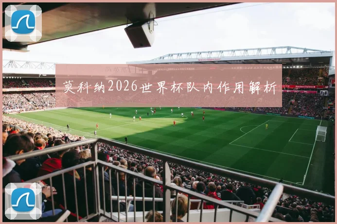 莫科纳2026世界杯队内作用解析
