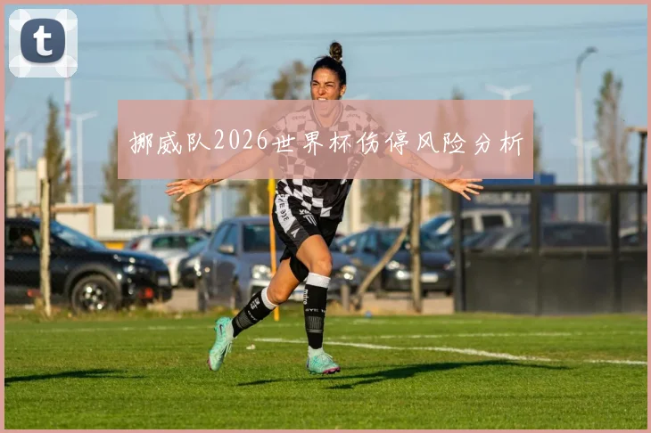 挪威队2026世界杯伤停风险分析
