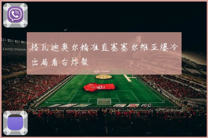 格瓦迪奥尔精准直塞塞尔维亚爆冷出局看台炸裂