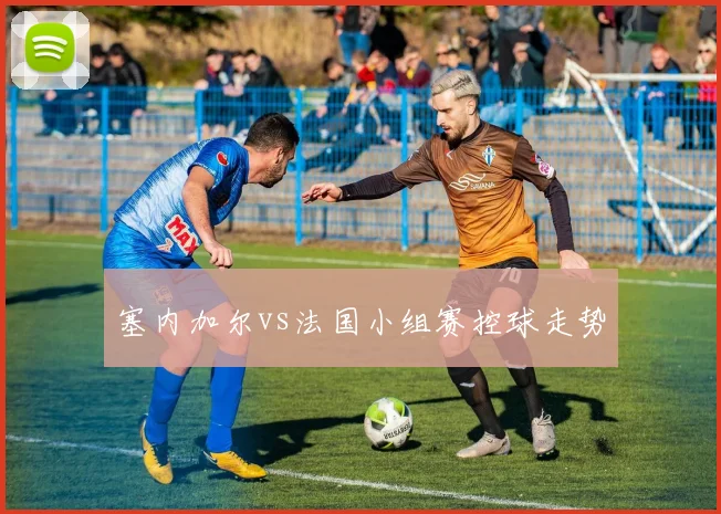 塞内加尔vs法国小组赛控球走势