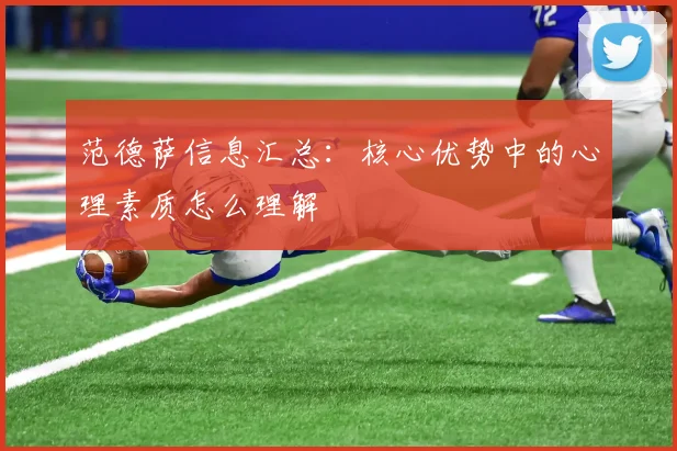 范德萨信息汇总:核心优势中的心理素质怎么理解